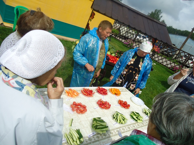 День поля 2013